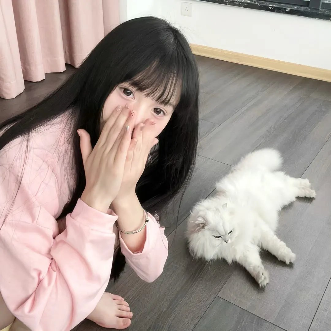 迷你特工队之拯救恐龙王